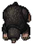 Mole