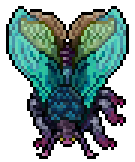 Lacewing Moth