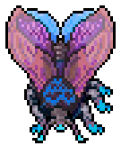Hibernal Moth