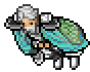 Moth Cape