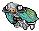 Moth Cape