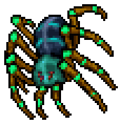 Exotic Cave Spider