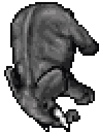Terrified Elephant