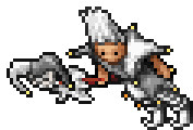 Jester