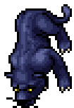 Midnight Panther