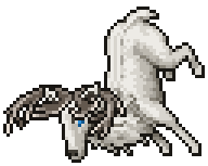 Desperate White Deer