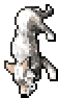 Winter Wolf