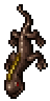 Salamander