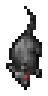 Cave Rat