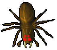 Old Giant Spider