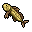 sandfish