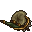 toad stool