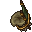 toad stool