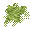green spores