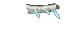 Mooncast Fragment VIII