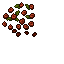 Amber Sigil Droll