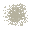 fungus powder