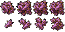 prickly pear