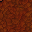 Copper Trinket Brim