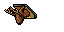 deer trophy