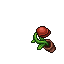 carnivorous plant