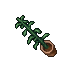 indoor plant