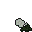ice flower