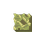 Token Blund