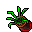 flower pot