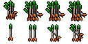 poison arrow