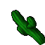 Cactus Flower