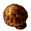 Creation Bloom