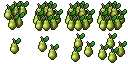 pear
