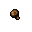 dark mushroom