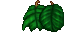 wall leaves