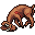dead deer
