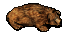 bear soul core