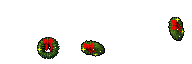Spirit Mark