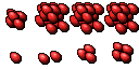 coloured egg