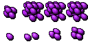 coloured egg
