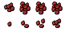 raspberry