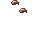 Charm Glard
