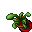 flower pot
